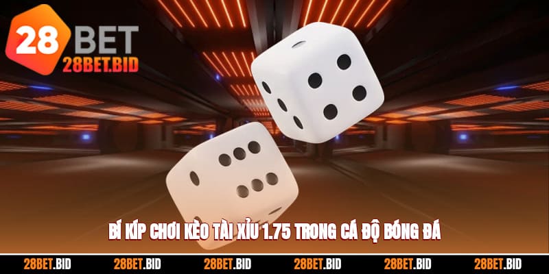 Tài Xỉu 1.75 - Bí Kíp Chơi Kèo Dễ Ăn Khi Cá Độ Bóng Đá