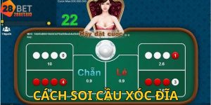 Cách Soi Cầu Xóc Đĩa – Bí Quyết Tăng Tỷ Lệ Thắng