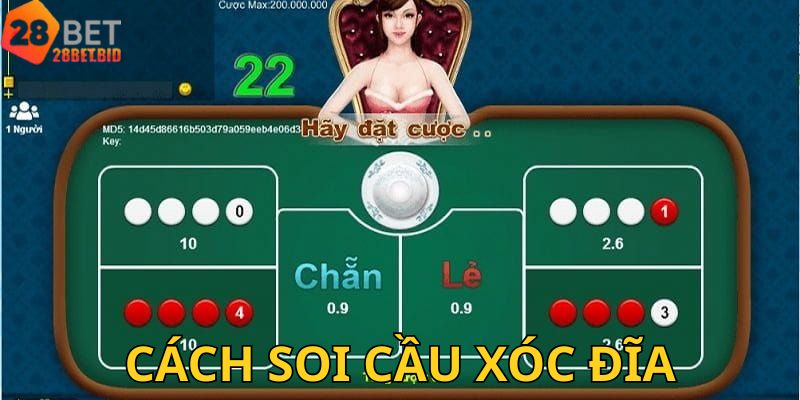 Cách Soi Cầu Xóc Đĩa – Bí Quyết Tăng Tỷ Lệ Thắng