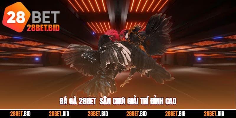 Giới thiệu chi tiết về sảnh đá gà 28BET hàng đầu hiện nay