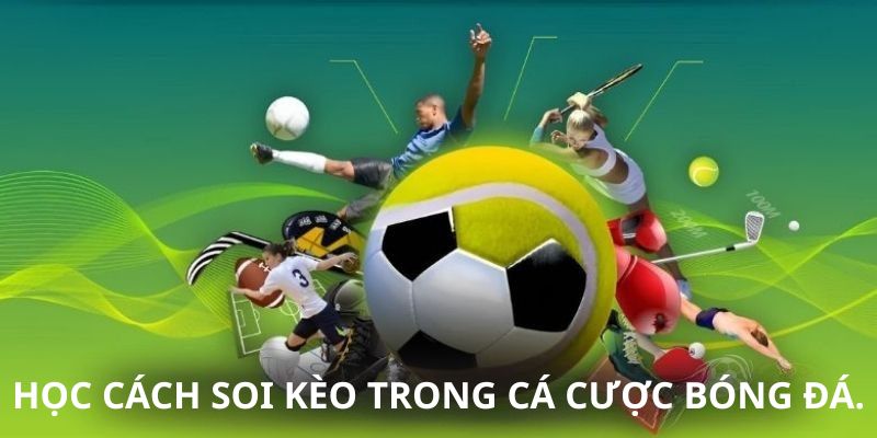 Học cách soi kèo trong cá cược bóng đá.