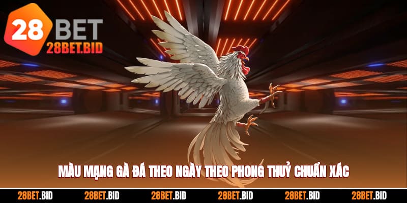 Màu Mạng Gà Đá Theo Ngày Theo Phong Thuỷ Chuẩn Xác Nhất